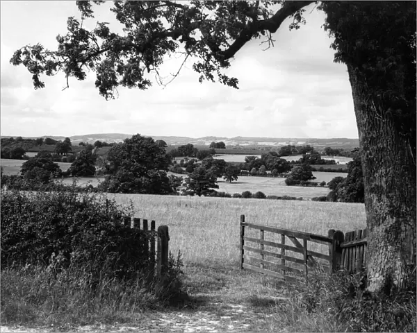 Kentish Countryside