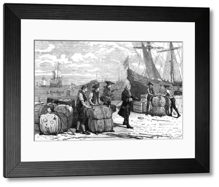 Framed Print : Bernard De Jussieu Tree Framed Print : Bernard De Jussieu Tree