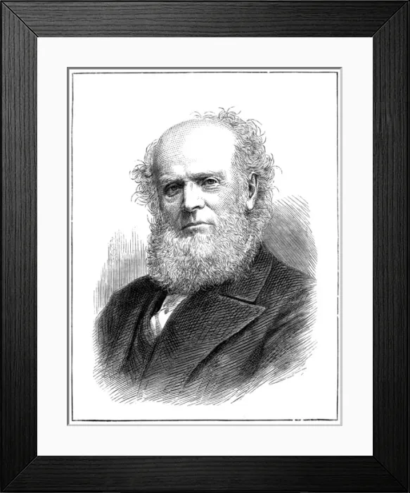 Framed Print : William Howitt Framed Print : William Howitt
