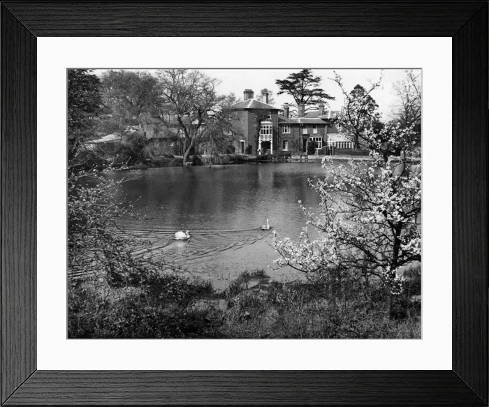 Framed Print : Springtime Pond Framed Print : Springtime Pond