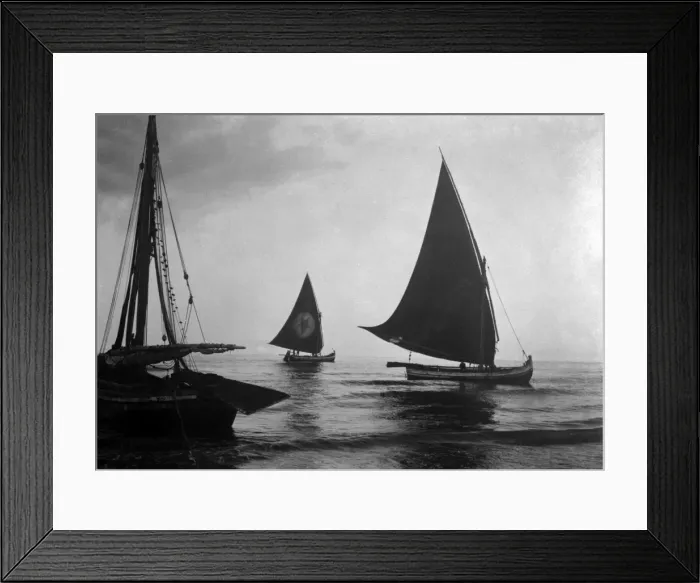 Framed Print : Sailing Ships Framed Print : Sailing Ships