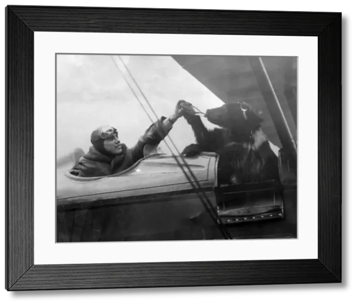 Framed Print : A Flying Bear Framed Print : A Flying Bear