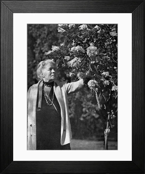 Framed Print : Selma Lagerlof Framed Print : Selma Lagerlof