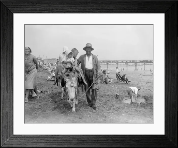 Framed Print : Donkeys at Blackpool Framed Print : Donkeys at Blackpool