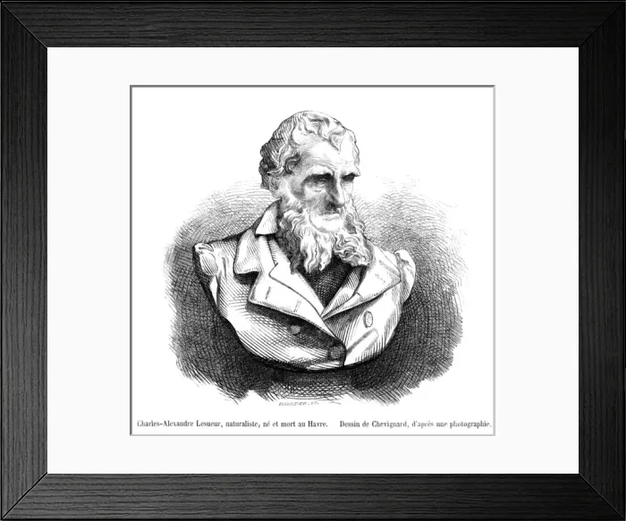 Framed Print : Charles-Alex. Lesueur Framed Print : Charles-Alex. Lesueur
