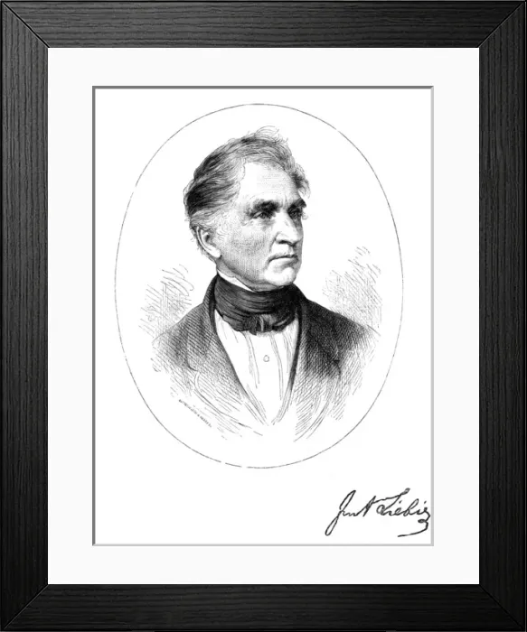 Framed Print : Justus Liebig Framed Print : Justus Liebig