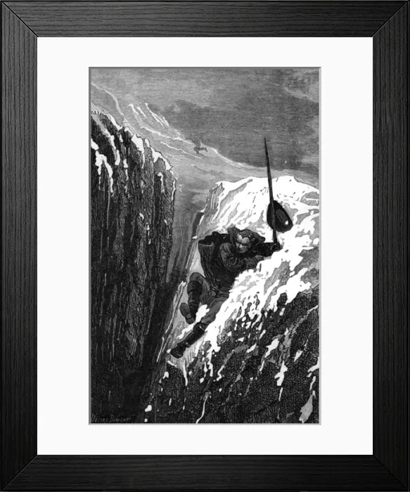 Framed Print : Linnaeus Slips Framed Print : Linnaeus Slips