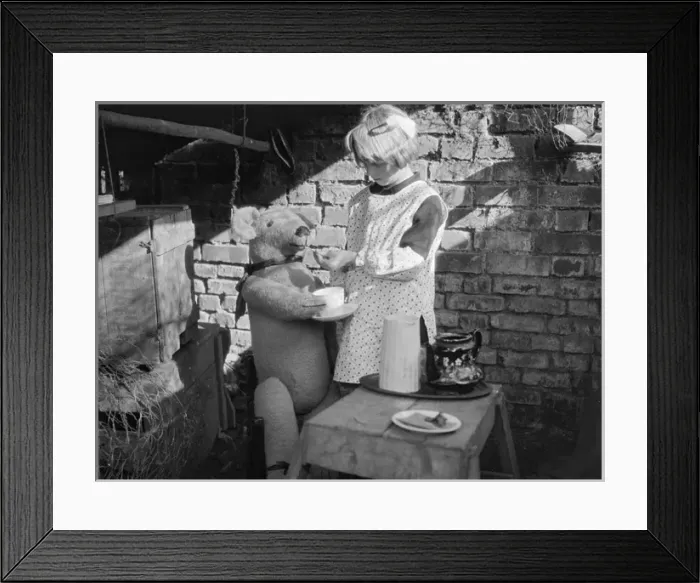 Framed Print : Tea for Teddy Framed Print : Tea for Teddy