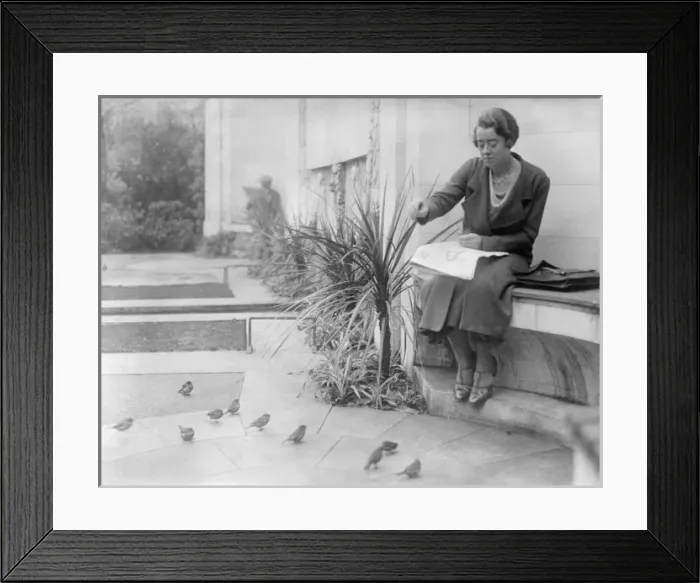 Framed Print : Birds Lunchtime Framed Print : Birds Lunchtime