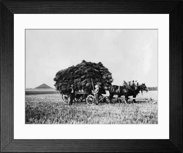 Framed Print : Waterloo Battlefield Framed Print : Waterloo Battlefield