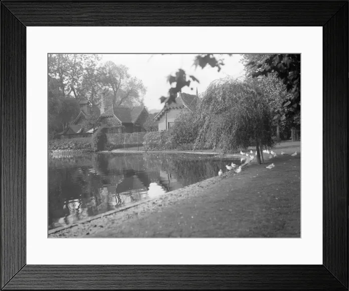 Framed Print : St. Jamess Park Framed Print : St. Jamess Park