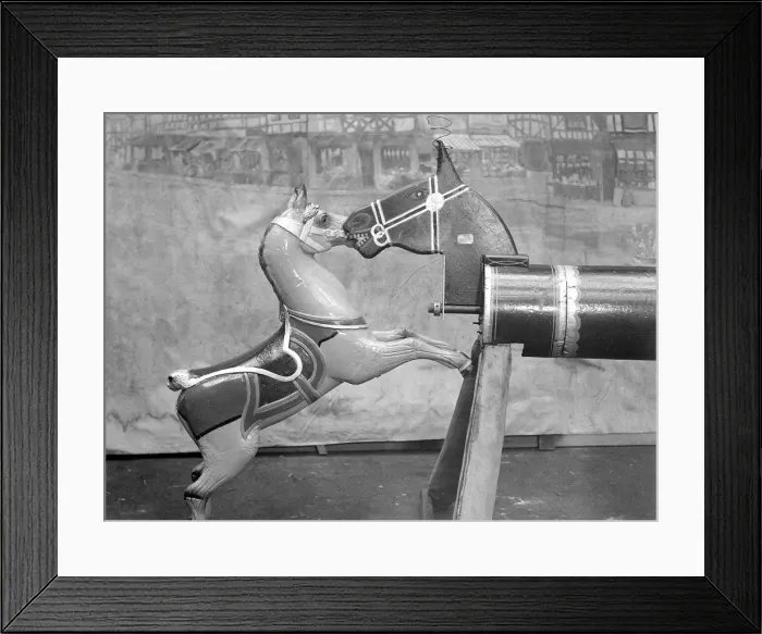 Framed Print : Carousel Horses Kissing Framed Print : Carousel Horses Kissing