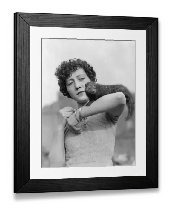 Framed Print : A Mongoose on the Arm Framed Print : A Mongoose on the Arm