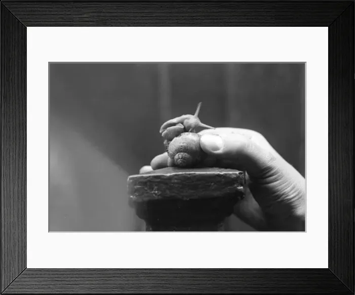 Framed Print : A Snail in the Hand Framed Print : A Snail in the Hand