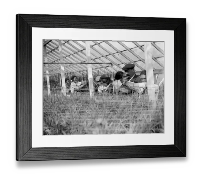 Framed Print : Agricultural Students Framed Print : Agricultural Students