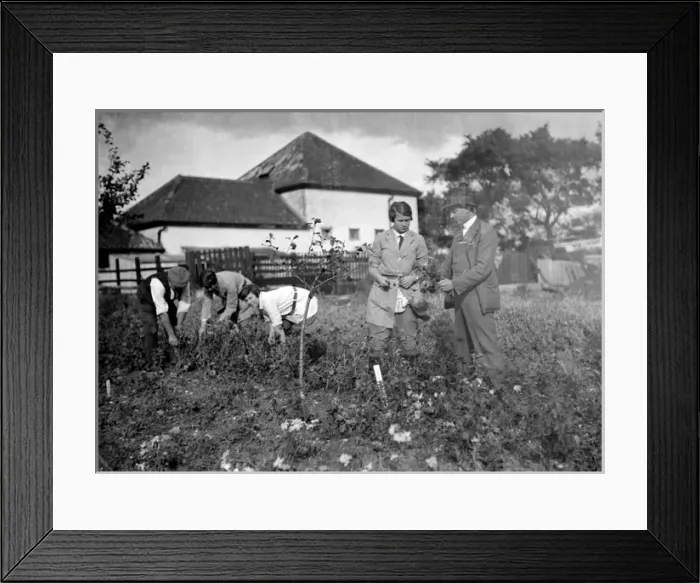 Framed Print : Agricultural Students Framed Print : Agricultural Students