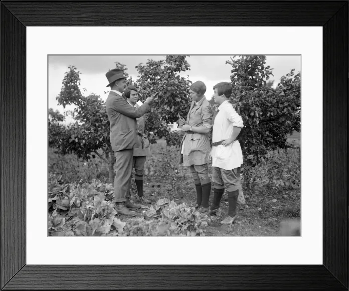 Framed Print : Agricultural Students Framed Print : Agricultural Students