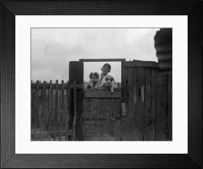 Framed Print : Dogs at a Dog Hotel Framed Print : Dogs at a Dog Hotel