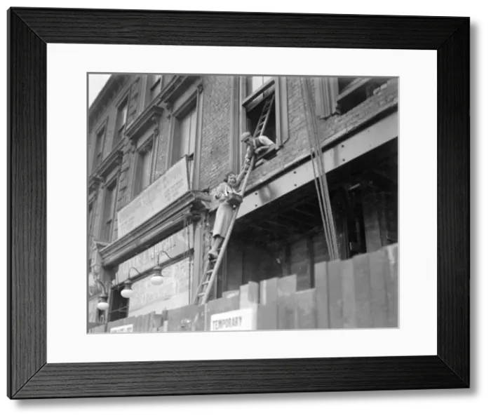 Framed Print : Alexandra Rose Day Framed Print : Alexandra Rose Day