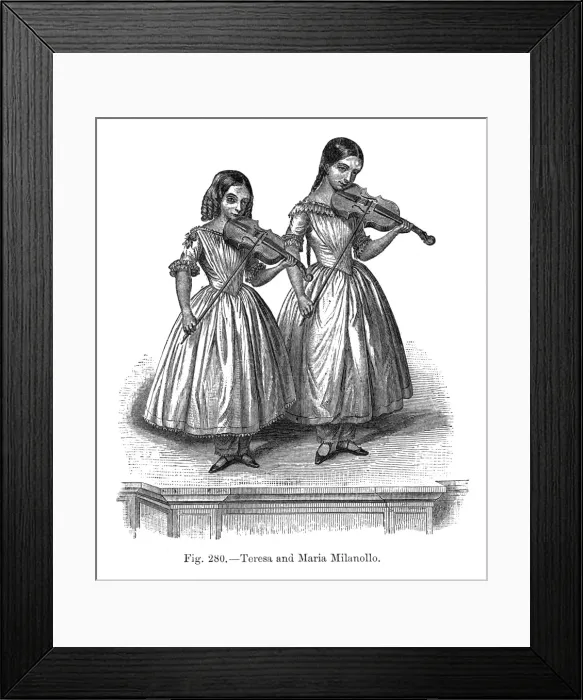 Framed Print : Teresa Milanollo Framed Print : Teresa Milanollo