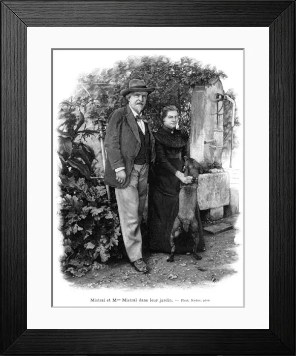 Framed Print : Mistral and Missus Framed Print : Mistral and Missus