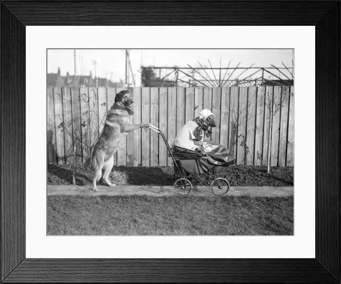Framed Print : Dog Baby and Nurse Framed Print : Dog Baby and Nurse