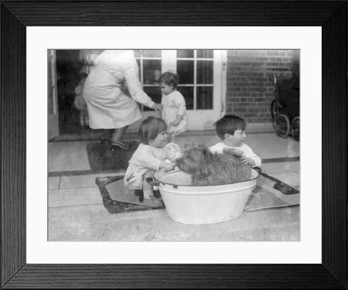 Framed Print : Bathing the Dog Framed Print : Bathing the Dog