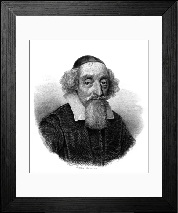Framed Print : Mathieu Mole Framed Print : Mathieu Mole