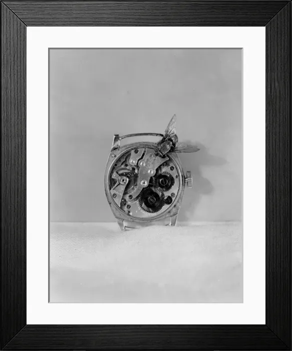 Framed Print : TIME FLIES Framed Print : TIME FLIES