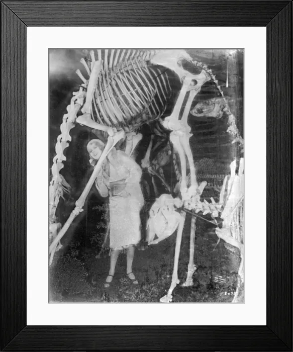 Framed Print : Dinosaur Skeletons