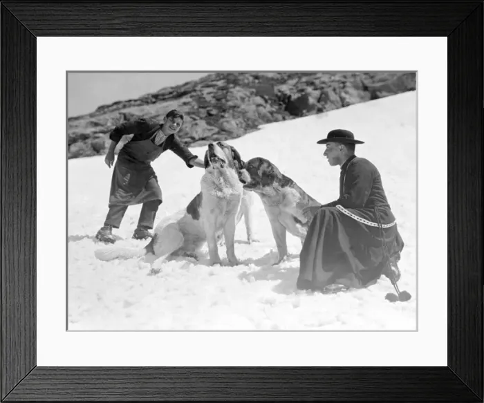 Framed Print : Monk with St. Bernard s Framed Print : Monk with St. Bernard s