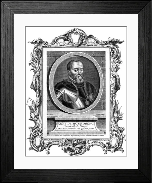 Framed Print : Anne De Montmorency Framed Print : Anne De Montmorency