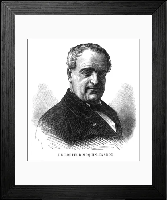 Framed Print : Horace Moquin-Tandon Framed Print : Horace Moquin-Tandon