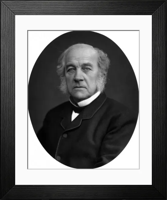 Framed Print : Samuel Morley (Photo) Framed Print : Samuel Morley (Photo)