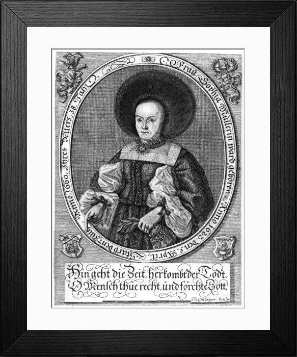 Framed Print : Sophia Muller Framed Print : Sophia Muller