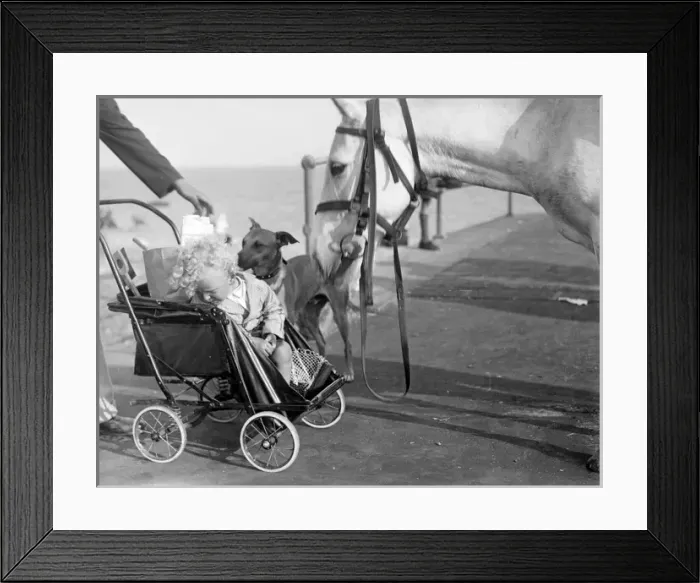 Framed Print : Shy Baby and Horse Framed Print : Shy Baby and Horse