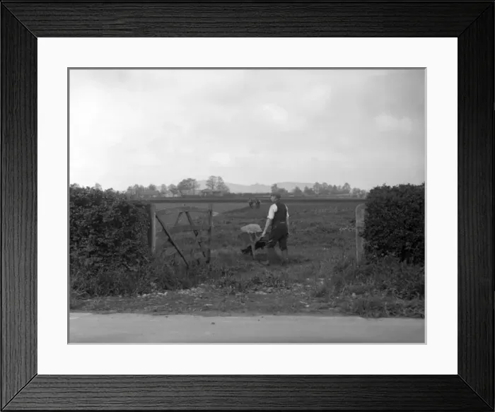 Framed Print : Farmer with Wheelbarrow Framed Print : Farmer with Wheelbarrow