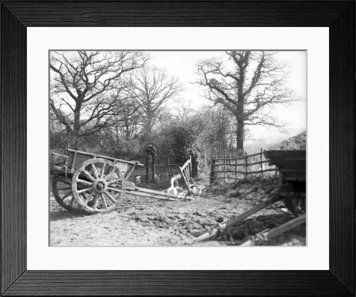 Framed Print : Farmyard Scene Framed Print : Farmyard Scene