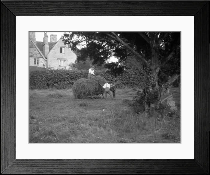Framed Print : Quedgeley Haymaking Framed Print : Quedgeley Haymaking