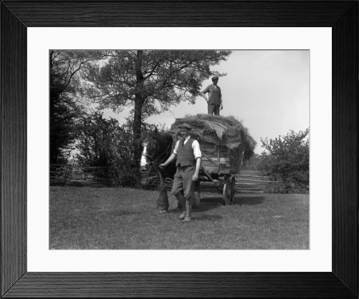 Framed Print : Cotswolds Hay Cart Framed Print : Cotswolds Hay Cart