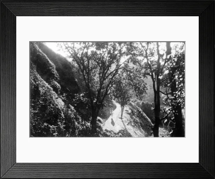 Framed Print : Javanese Landscape Framed Print : Javanese Landscape