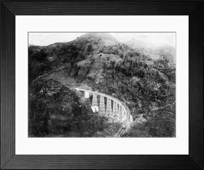 Framed Print : Viaduct in Java Framed Print : Viaduct in Java