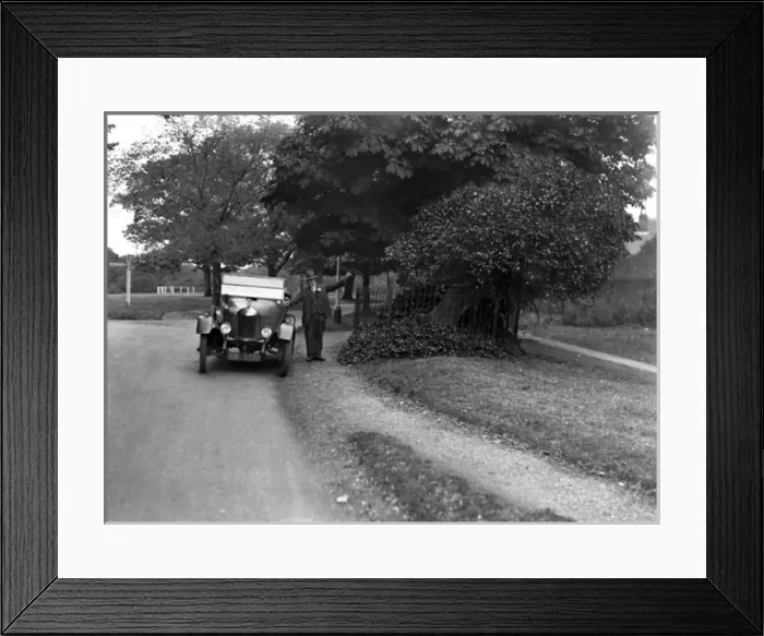 Framed Print : Southgate Oak Tree Framed Print : Southgate Oak Tree