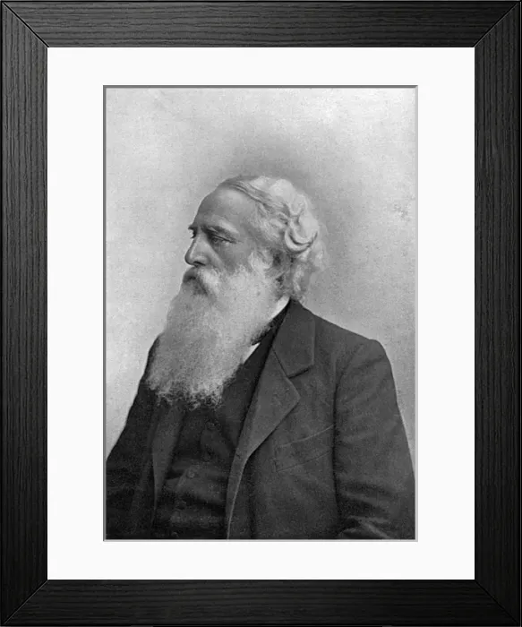 Framed Print : Henry Steel Olcott 2 Framed Print : Henry Steel Olcott 2
