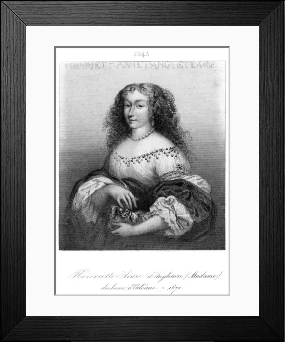 Framed Print : Henrietta D orleans - 7 Framed Print : Henrietta D orleans - 7