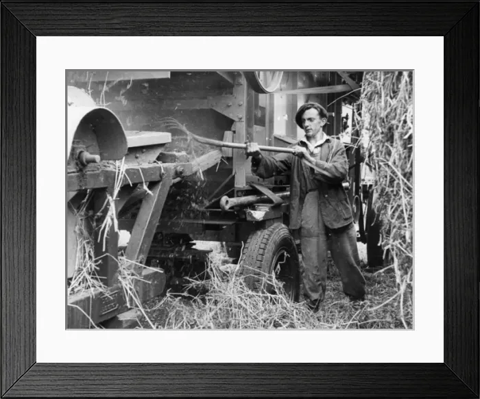 Framed Print : Threshing Machine Framed Print : Threshing Machine