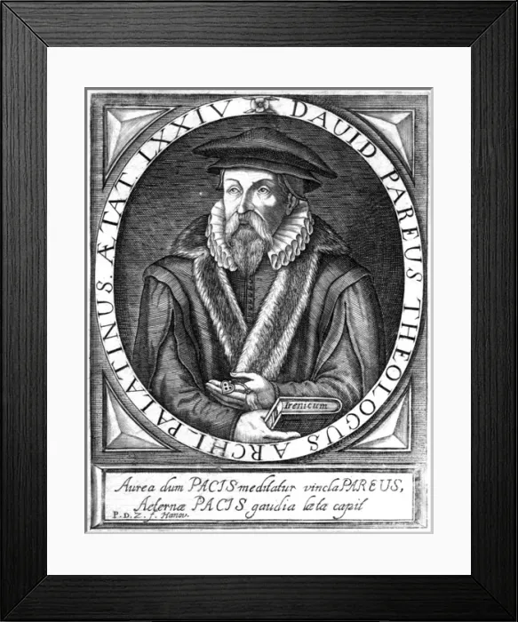 Framed Print : David Pareus Framed Print : David Pareus