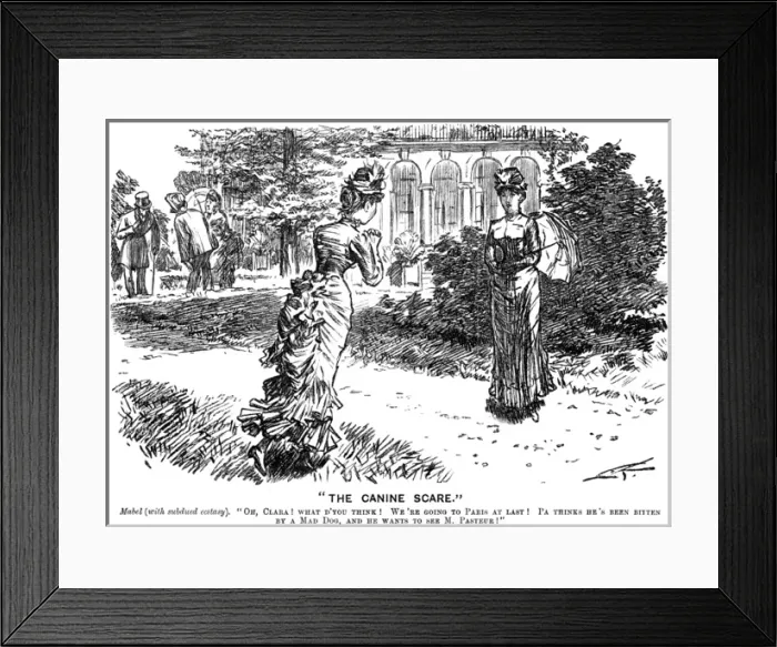 Framed Print : Punch Pasteur Joke Framed Print : Punch Pasteur Joke