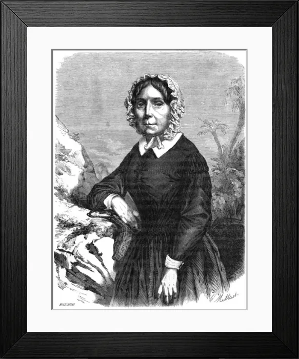 Framed Print : Ida Pfeiffer - 2 Framed Print : Ida Pfeiffer - 2