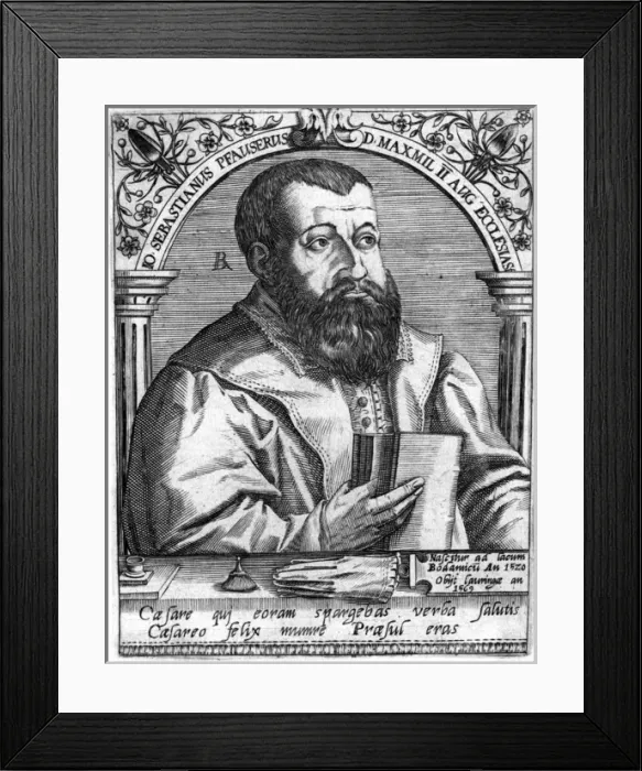 Framed Print : Sebastian Pfauser Framed Print : Sebastian Pfauser